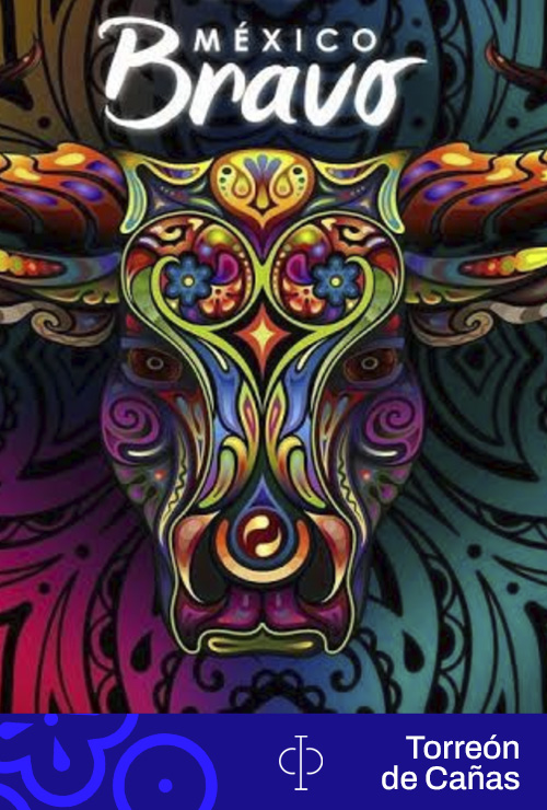 Póster de TORREON DE CAÑAS